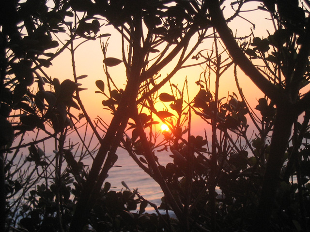 Morning on the east coast of South Africa